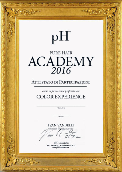pH Pure Hair Academy 2016